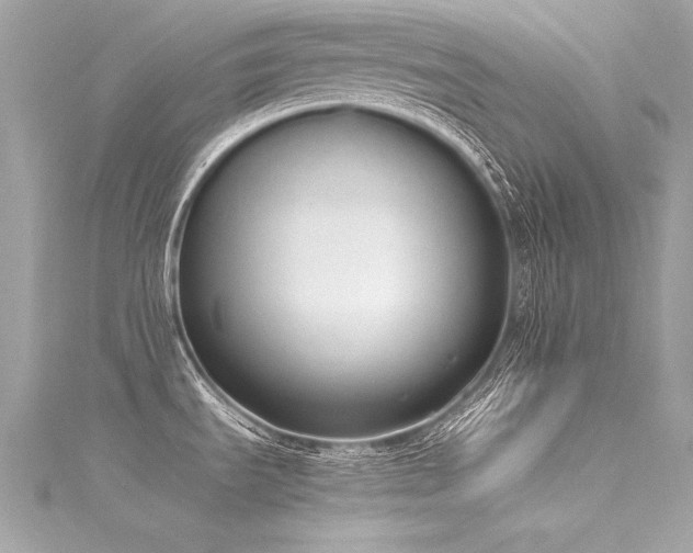 X0000116051535200911201355