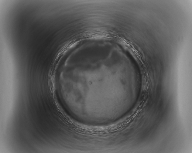 X0000116050002200911271227