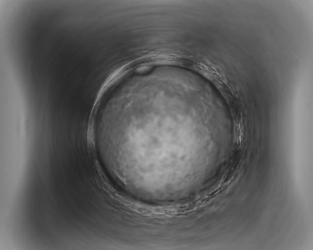 X0000116050004200911271227
