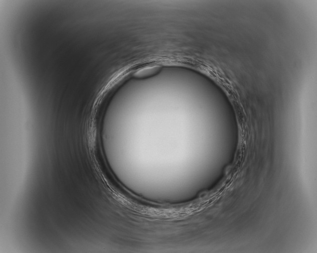 X0000116050005200911271227
