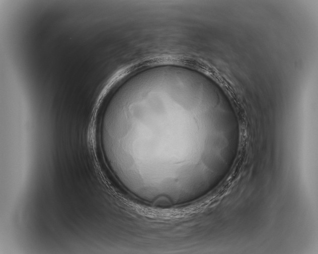 X0000116050006200911271227