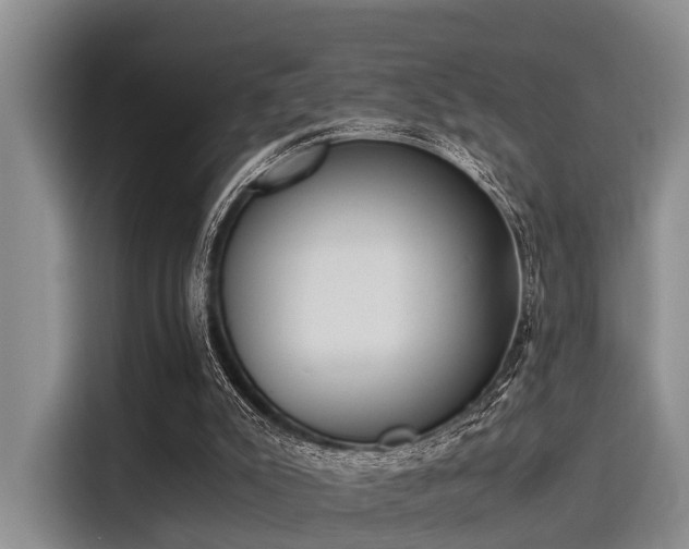 X0000116050007200911271227