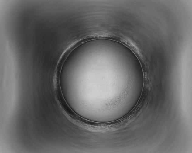 X0000116050012200911271227