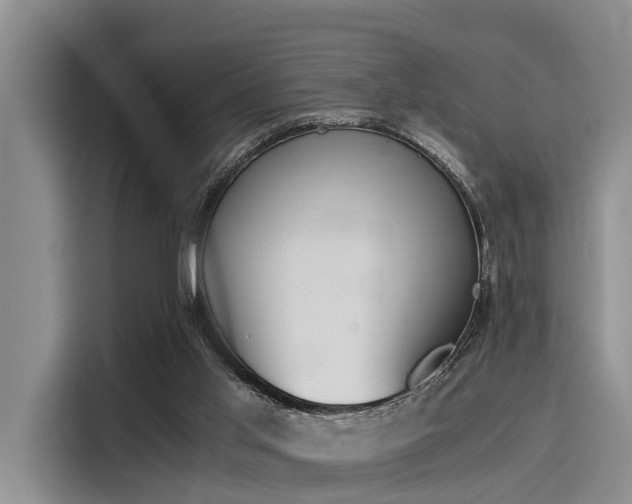 X0000116050013200911271227