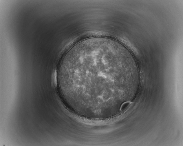 X0000116050014200911271227