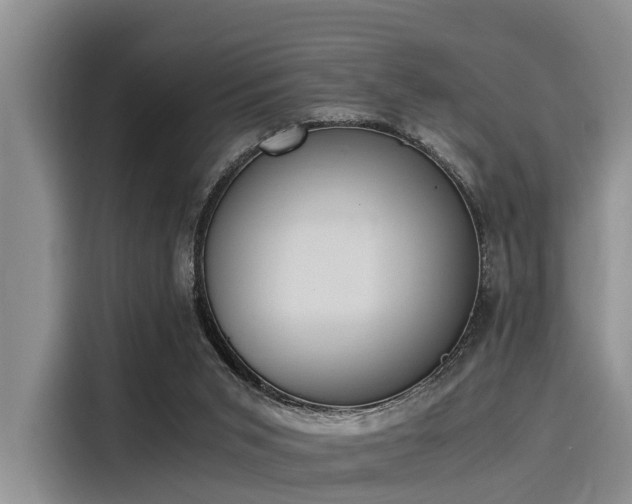 X0000116050015200911271227