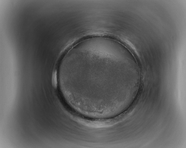 X0000116050020200911271227