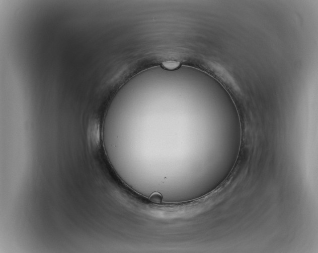 X0000116050021200911271227