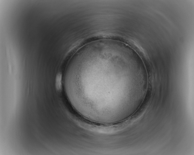 X0000116050024200911271227
