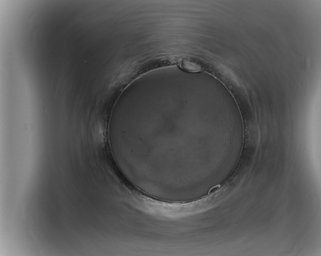 X0000116050039200911271227