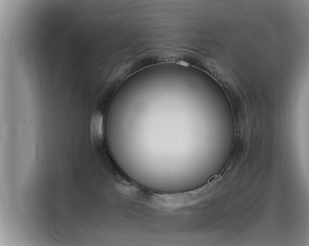 X0000116050041200911271227