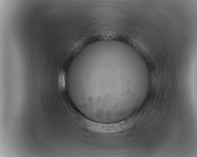 X0000116050042200911271227