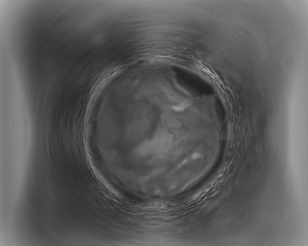 X0000116050049200911271226
