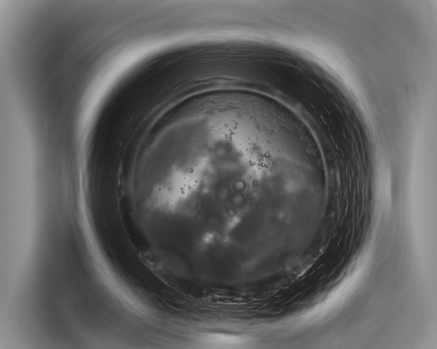 X0000116050050200911271226