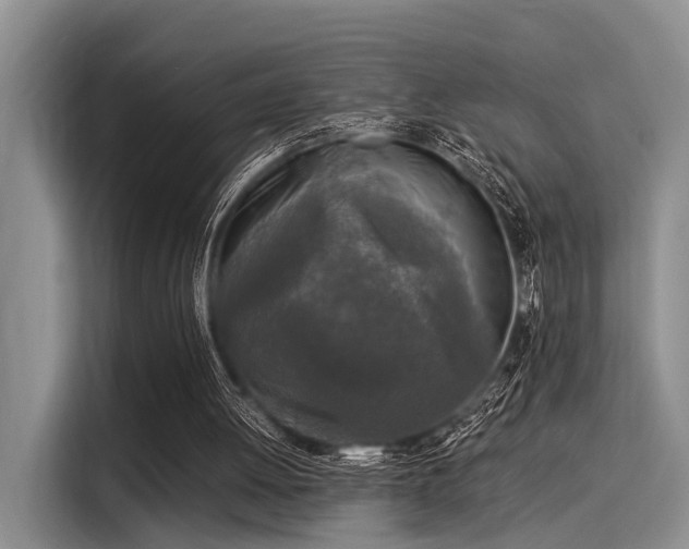 X0000116050052200911271226