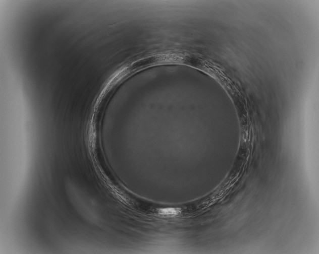 X0000116050053200911271226