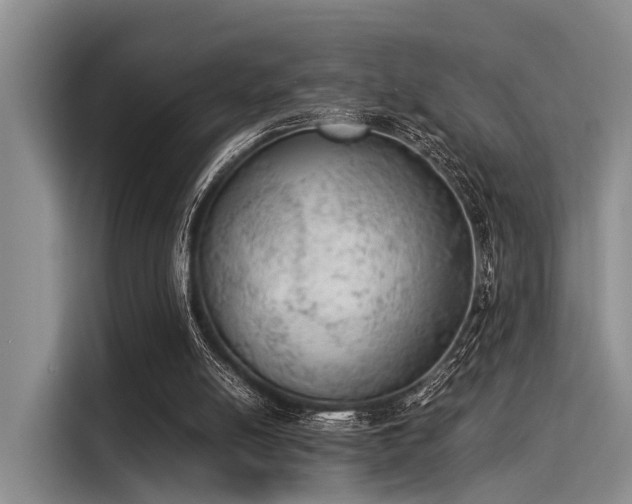 X0000116050054200911271226