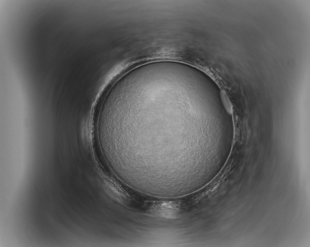 X0000116050056200911271226