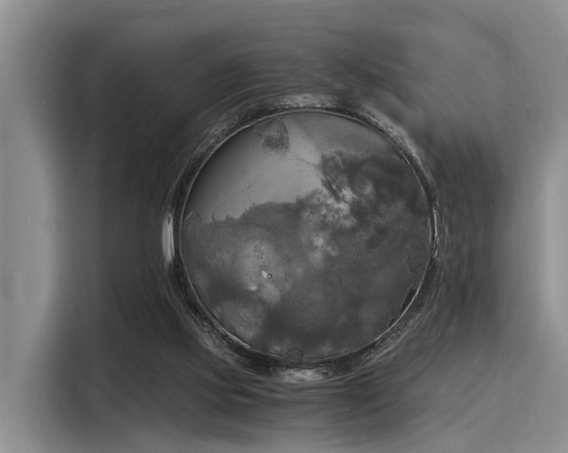 X0000116050061200911271226