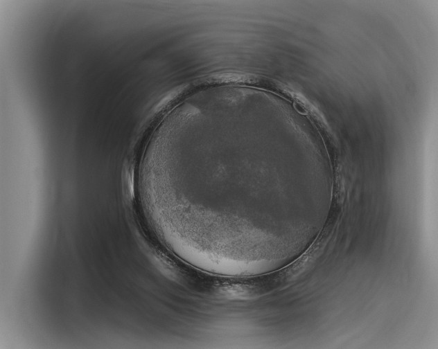X0000116050062200911271226