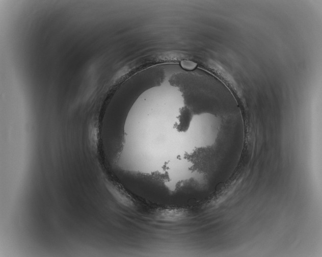 X0000116050063200911271226