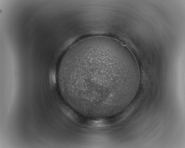 X0000116050068200911271226