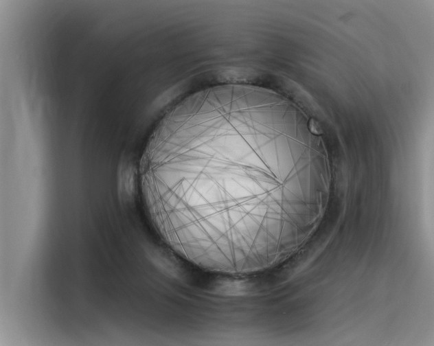 X0000116050071200911271226