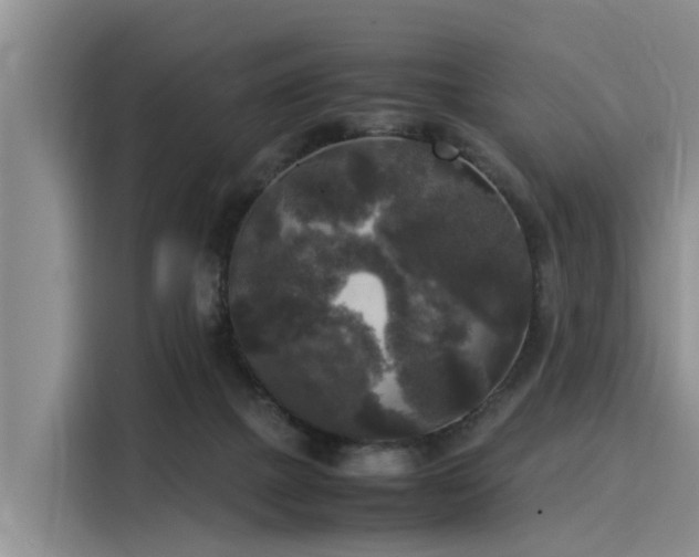 X0000116050073200911271226
