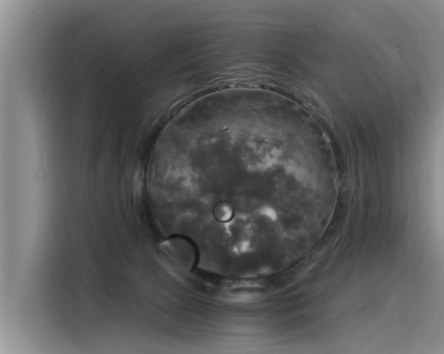 X0000116050081200911271226