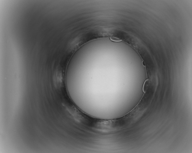 X0000116050084200911271226