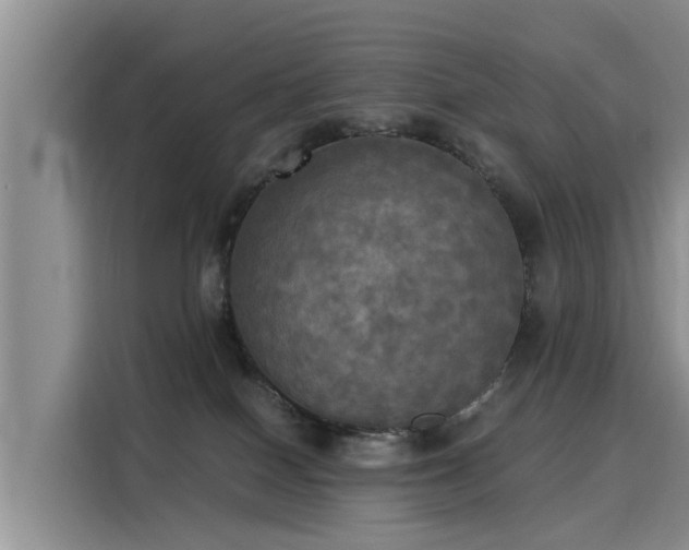 X0000116050086200911271226