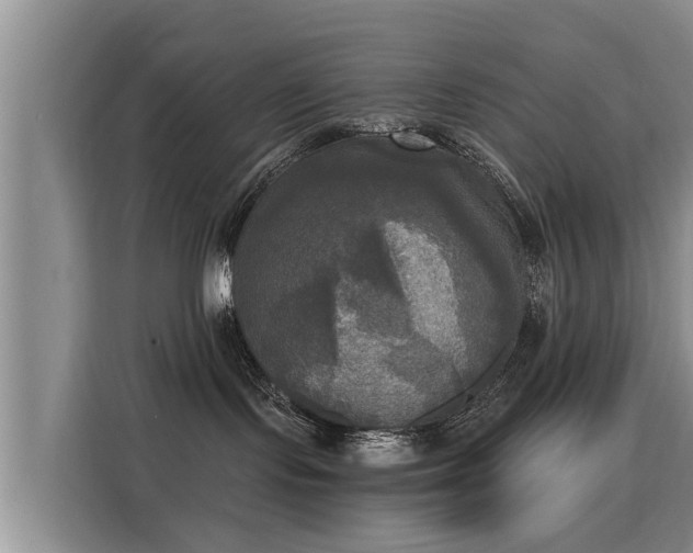 X0000116050095200911271227