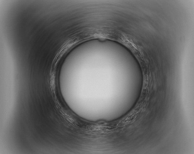 X0000116050098200911271226