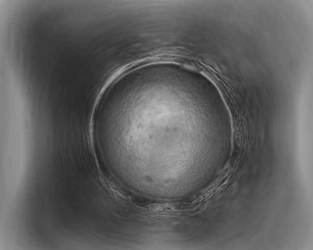 X0000116050100200911271226