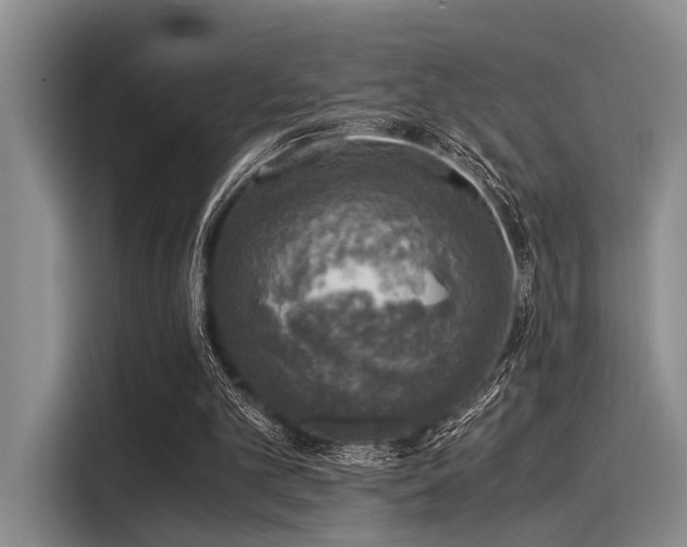 X0000116050101200911271226