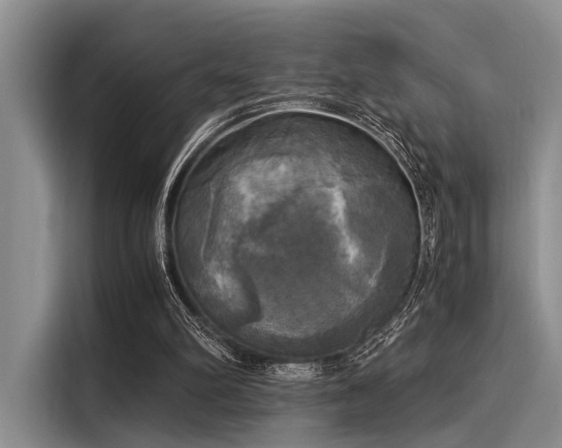 X0000116050102200911271226
