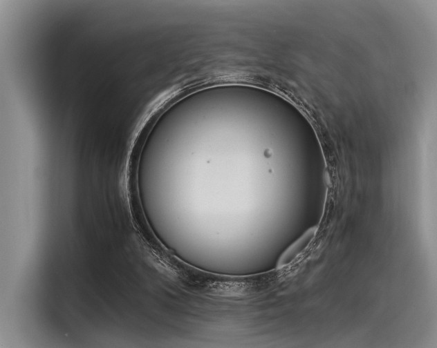 X0000116050104200911271226