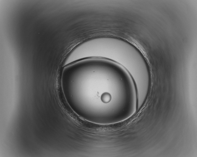 X0000116050105200911271226