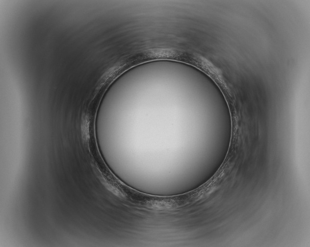 X0000116050106200911271226