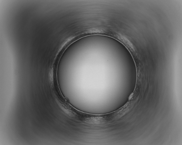X0000116050108200911271226