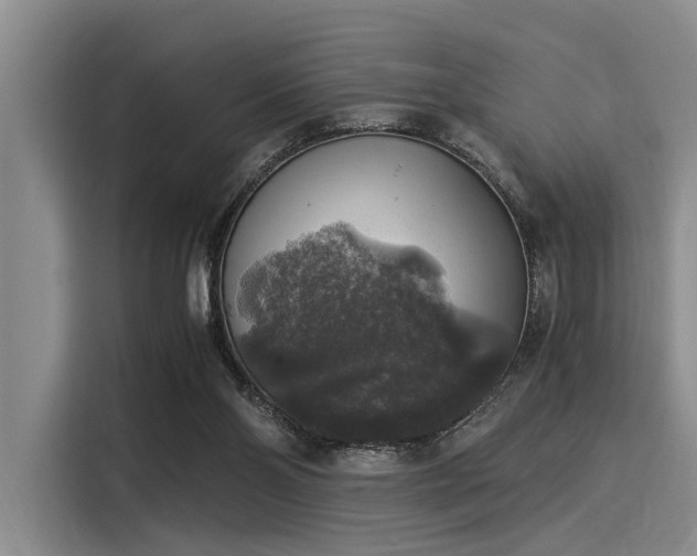 X0000116050110200911271226