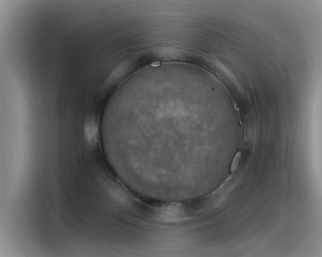 X0000116050124200911271226