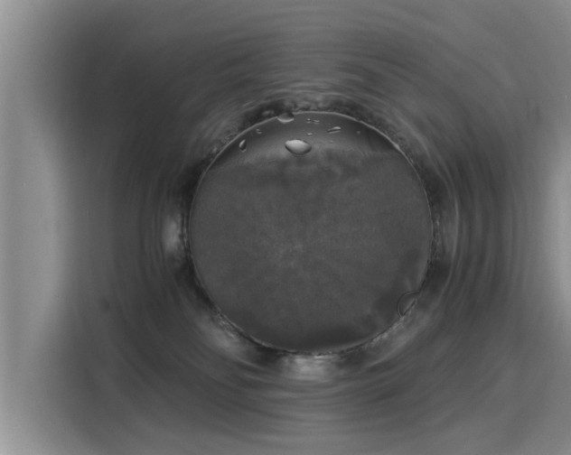X0000116050134200911271226