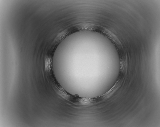 X0000116050142200911271225