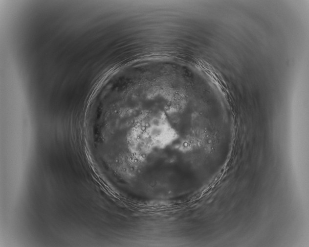 X0000116050145200911271225