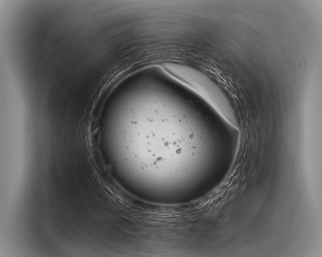 X0000116050146200911271225