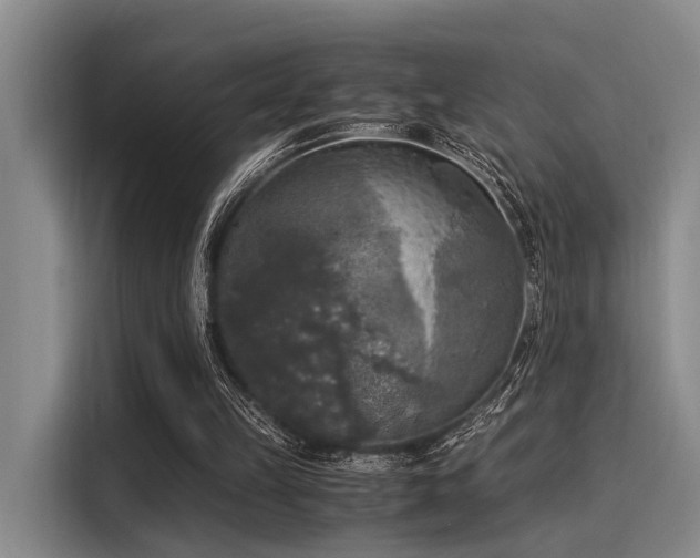 X0000116050149200911271225