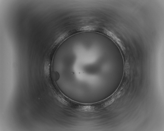 X0000116050153200911271225