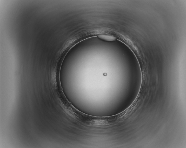 X0000116050154200911271225