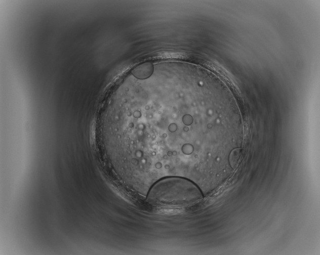 X0000116050155200911271225